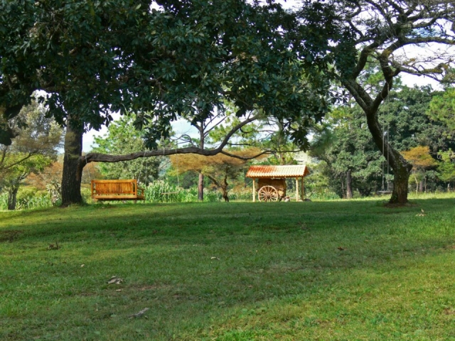  Garden with swings 
